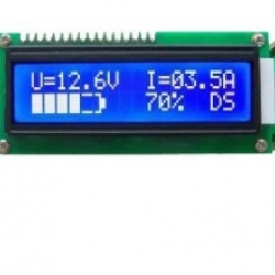 BG2-LXX Series Li-ion Battery Meter