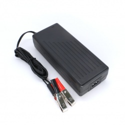 G168-216070 LiFePO4 Battery Charger for 6Cells 19.2V Li-Fe Battery